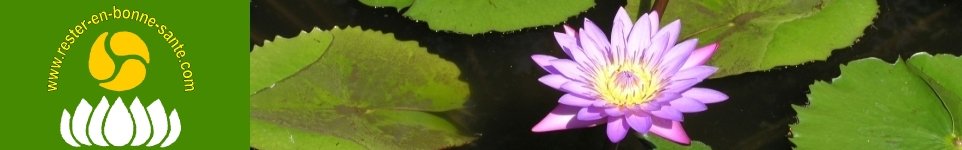 SANTE ET BIEN-ETRE - Lotus